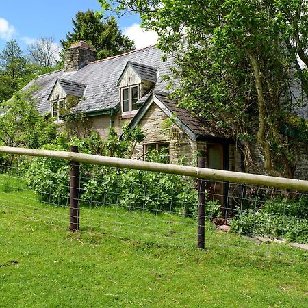 Lower Goytre Farmhouse Llanfair Waterdine Extérieur photo